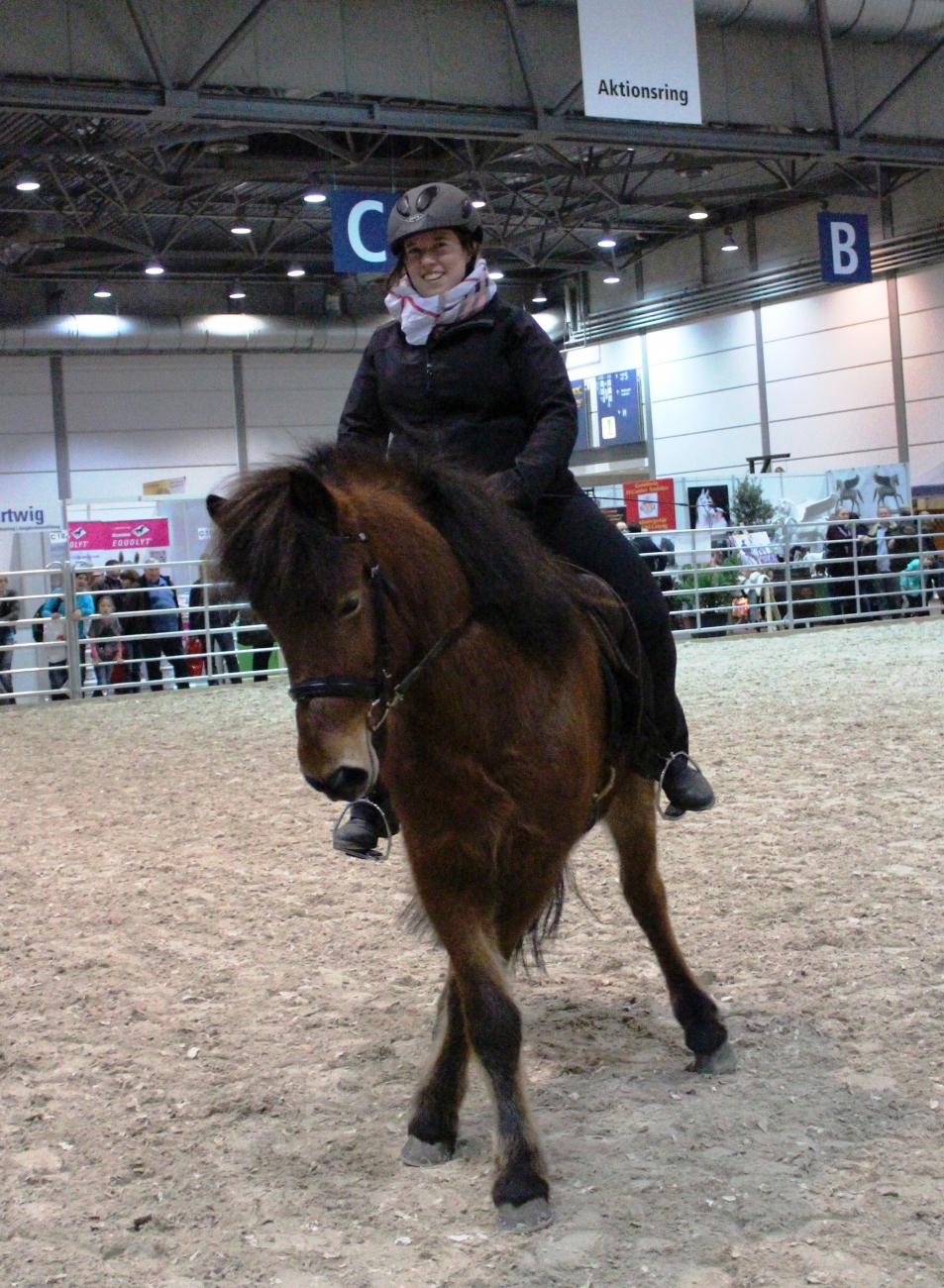 Partner Pferd Leipzig Januar 2016 | Haselhof